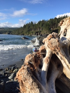 Super Grover hides behind dead tree trunk with ocean view in background
